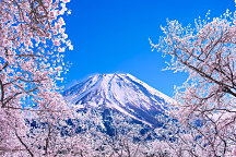 Obraz Zasnežená Hora Fuji 1380